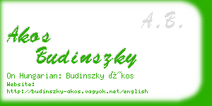 akos budinszky business card